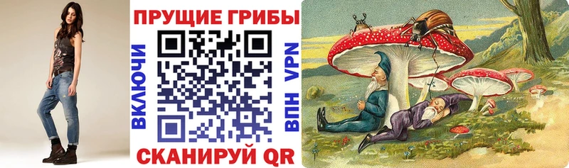 как найти наркотики  Новотроицк  Галлюциногенные грибы Psilocybine cubensis 