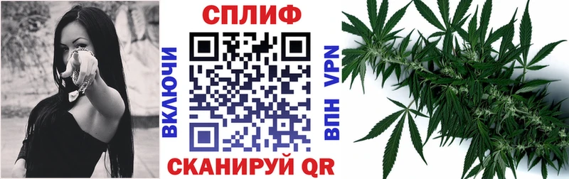 Канабис сатива  Новотроицк 